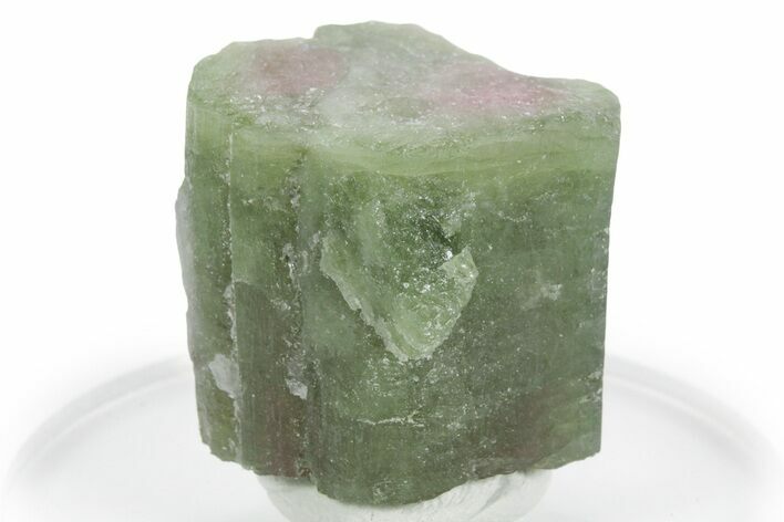 Bicolor Elbaite Watermelon Tourmaline - Afghanistan #354932